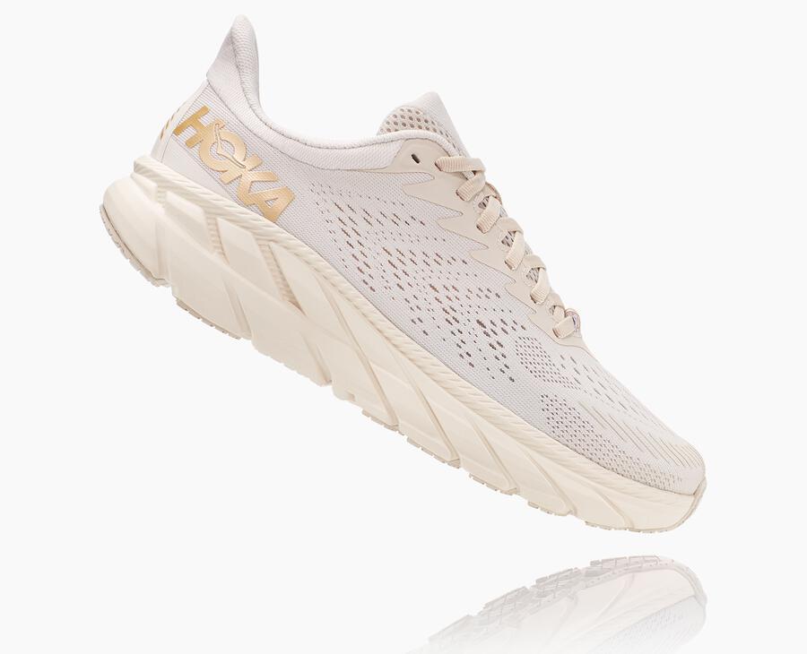 Women's Clifton 7