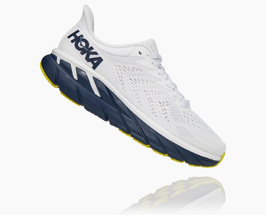 Women's Clifton 7